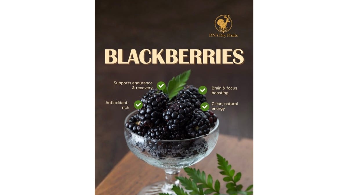 Where Tradition Meets Premium Quality: DNA Dry Fruits Redefines Everyday Luxury & Corporate Gifting -PNN